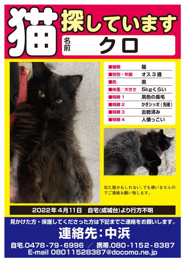 猫：（クロ君）を探しています【千葉県香取郡】 | ペット捜索チラシ