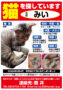 猫のみいくんを探しています
