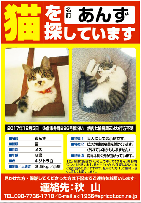 猫：（あんずちゃん）を探しています【千葉県佐倉市】 | ペット