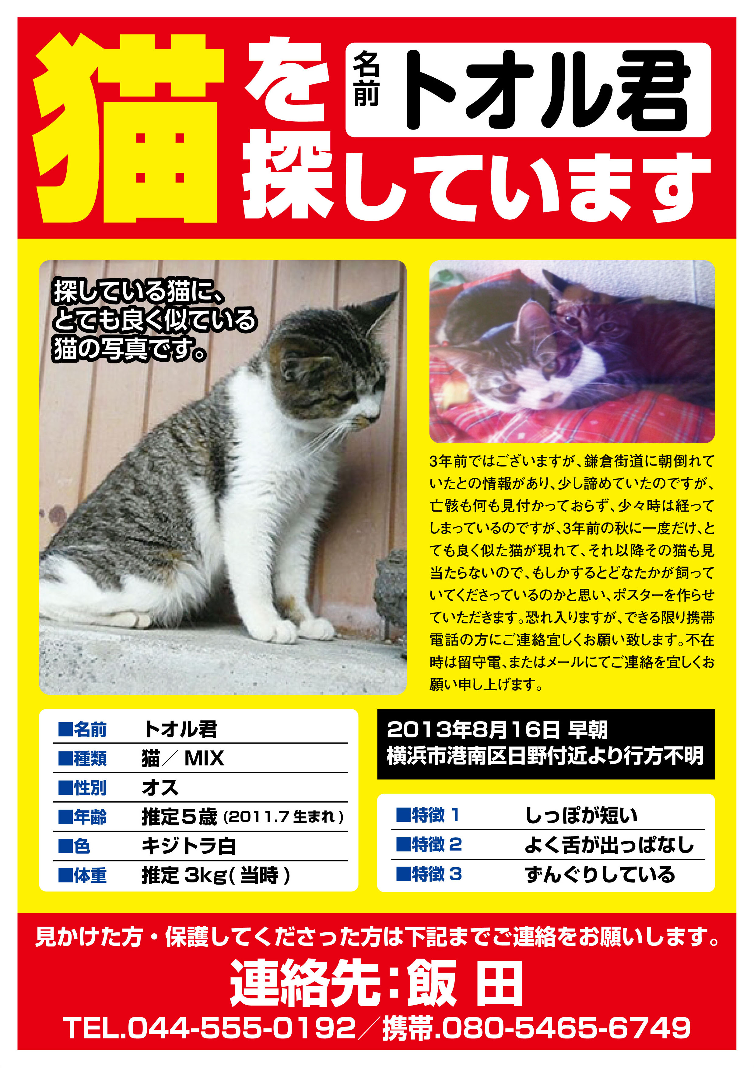 猫 トオル君 を探しています 神奈川県川崎市幸区 ペット捜索チラシ作成の迷子ペット Net